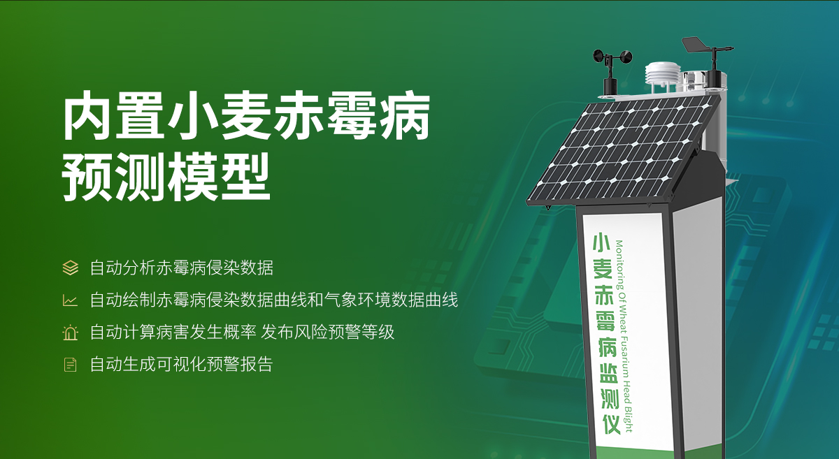 小麥赤霉病監測儀_03.jpg