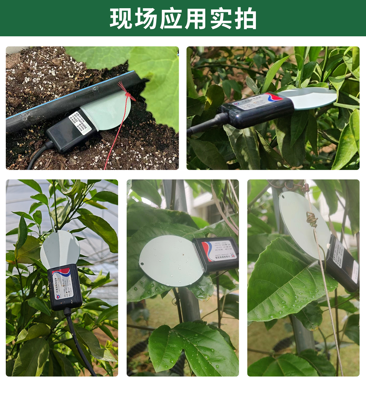 017e1baeaa804f4cb97a4a43b9d12813.jpg 葉面溫濕度_05.jpg