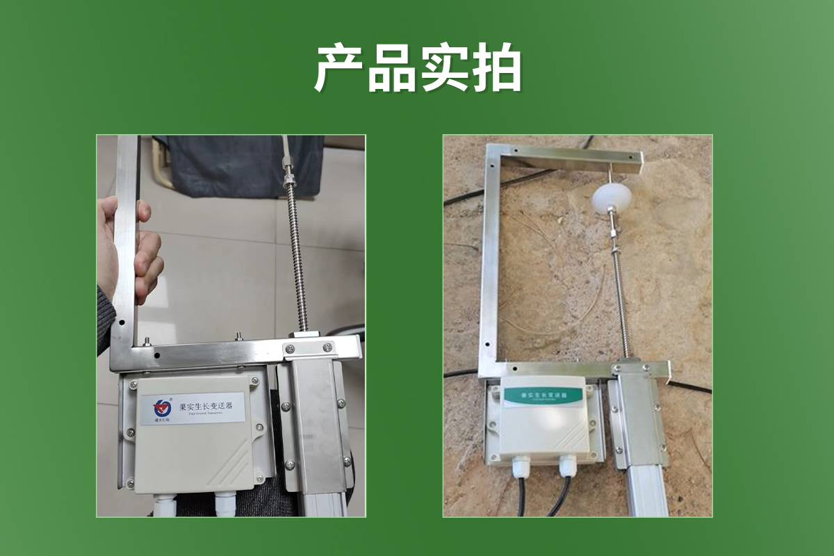 dbf2d3257a530c2c3ebbf586395cc7b5.jpg 果實生長變送器_03.jpg